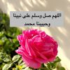 🌸ام لين