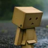 nguyetcute2010