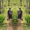 green.culture.buzz