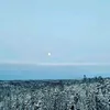 lare.virtanen