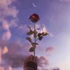 userbutterfly109