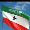 dhashiiznm7
