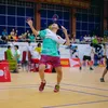 trungbadminton292011
