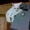 aygbdfnxhmzhfv