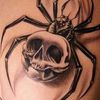 blackspider757