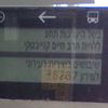 shmuelnetanel