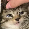 dhdubdfuf