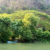 aungthantzin.aung1
