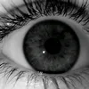 user_456379