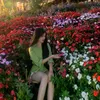 dothihongtham47
