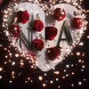 ijazkhan9541