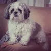 luciaalmagro5