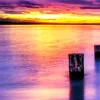 marik_150688
