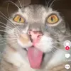 userr774u4ydmp