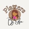 plattersbysofia01