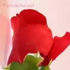 user2n0lutup4t