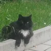 marius_schr