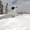 dylantheboarder