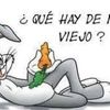 segundovargas9785