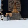 mujamelhoque769