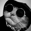 vlad_sus