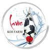 Lavie Koi Farm