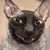 wnwl_o0