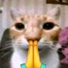 amrisuhaery_7