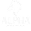 Alpha | Focus on you