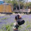 htee.ka.lay79