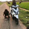 siijayaa