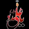 nomirehmani177