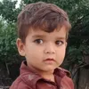 gulfamjani78632