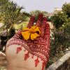 sheikhtajmin__12