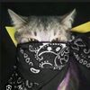 dew_dedew💤