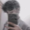 alifvocil12