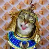 nurjaman7714