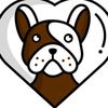 dannifrenchbulldogs