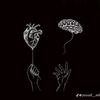 ahmedelsharkawy681