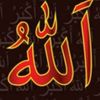 user4122071051981
