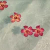 x.sandraa