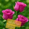 akmal1234567896