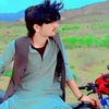 _tiger_alak