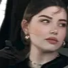 63.pc