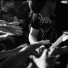 dark.swarm.returns
