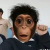 jtahk