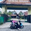 gstlngarya