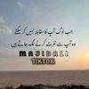 majidali3390