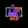 xylo.sn1
