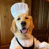 Chef Badger